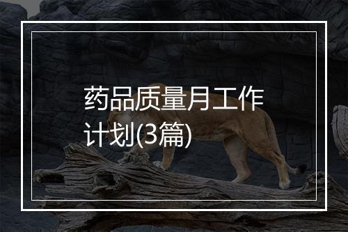 药品质量月工作计划(3篇)