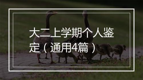 大二上学期个人鉴定（通用4篇）