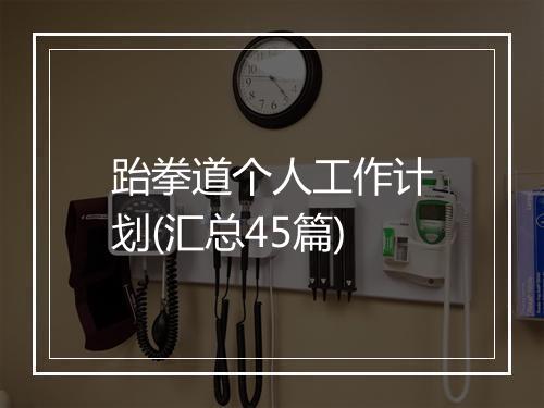 跆拳道个人工作计划(汇总45篇)