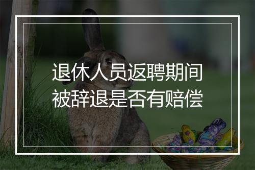 退休人员返聘期间被辞退是否有赔偿