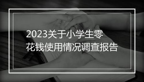 2023关于小学生零花钱使用情况调查报告
