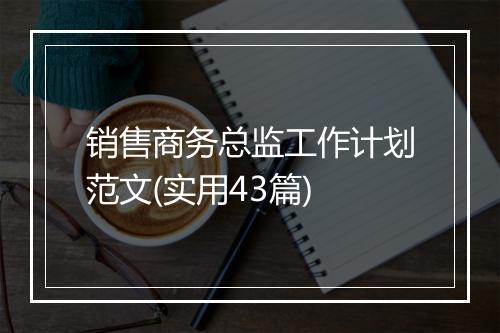 销售商务总监工作计划范文(实用43篇)