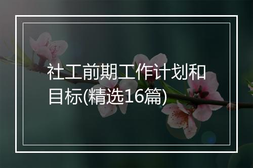 社工前期工作计划和目标(精选16篇)