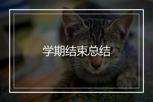 学期结束总结