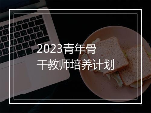 2023青年骨干教师培养计划