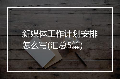 新媒体工作计划安排怎么写(汇总5篇)