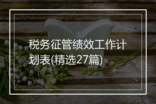 税务征管绩效工作计划表(精选27篇)
