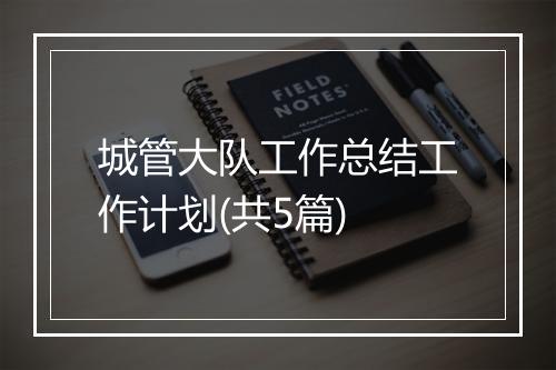 城管大队工作总结工作计划(共5篇)