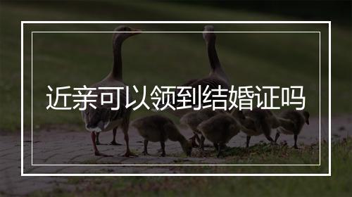 近亲可以领到结婚证吗