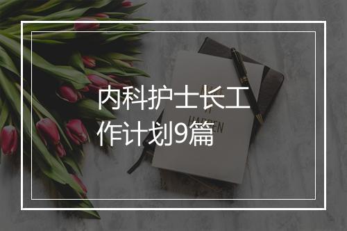 内科护士长工作计划9篇