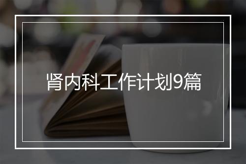 肾内科工作计划9篇
