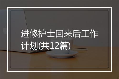进修护士回来后工作计划(共12篇)