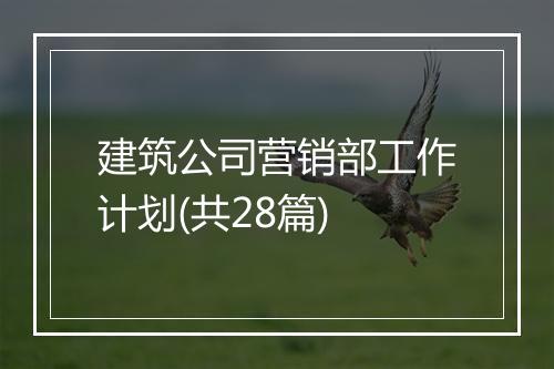 建筑公司营销部工作计划(共28篇)