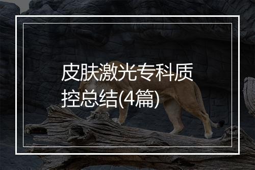 皮肤激光专科质控总结(4篇)