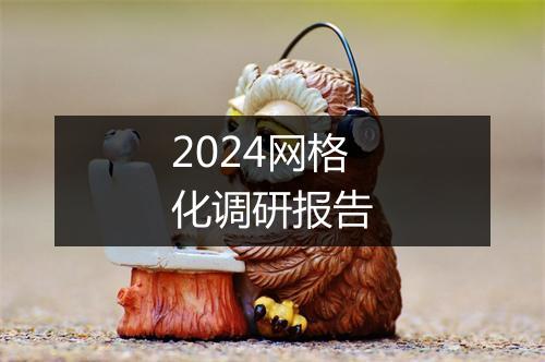 2024网格化调研报告