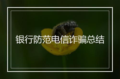 银行防范电信诈骗总结
