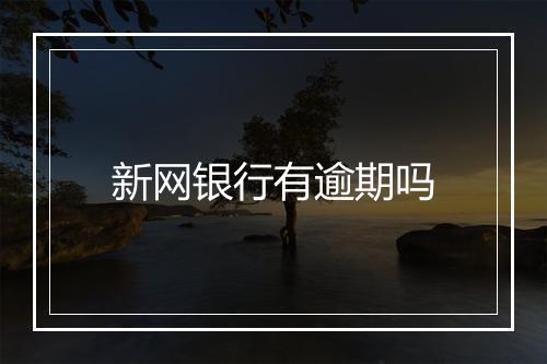 新网银行有逾期吗