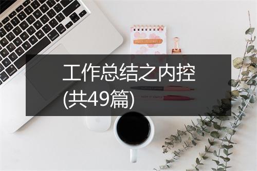 工作总结之内控(共49篇)