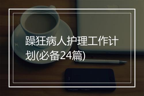 躁狂病人护理工作计划(必备24篇)