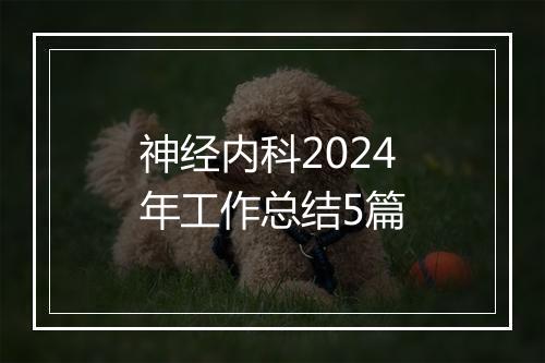 神经内科2024年工作总结5篇