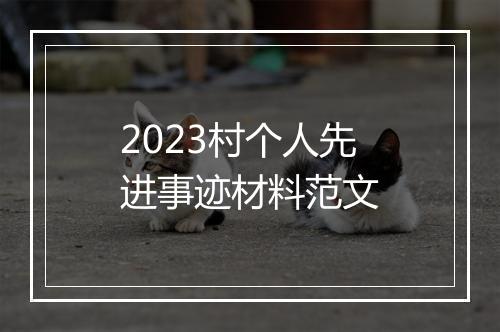 2023村个人先进事迹材料范文