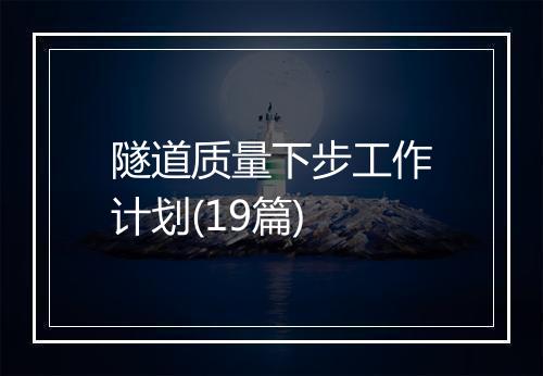 隧道质量下步工作计划(19篇)