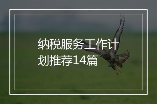 纳税服务工作计划推荐14篇