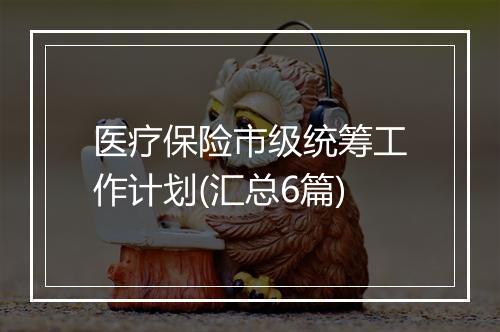 医疗保险市级统筹工作计划(汇总6篇)