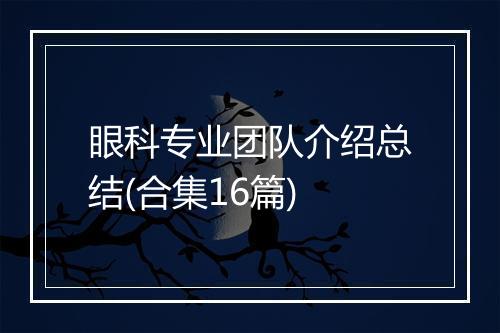 眼科专业团队介绍总结(合集16篇)