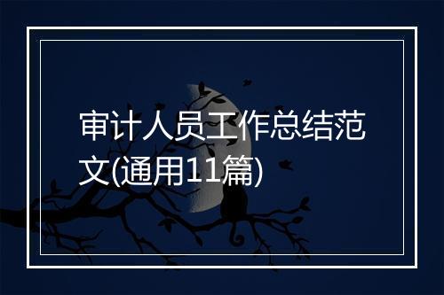 审计人员工作总结范文(通用11篇)