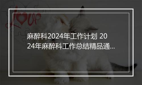 麻醉科2024年工作计划 2024年麻醉科工作总结精品通用版6篇