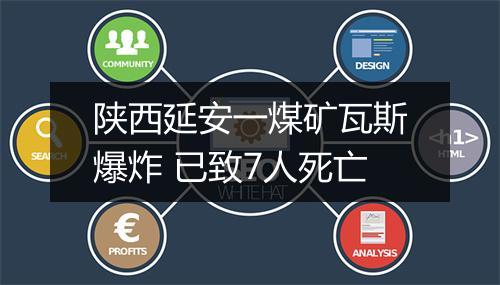 陕西延安一煤矿瓦斯爆炸 已致7人死亡