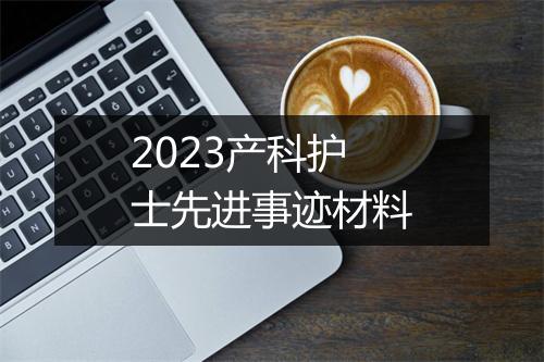 2023产科护士先进事迹材料