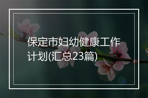 保定市妇幼健康工作计划(汇总23篇)