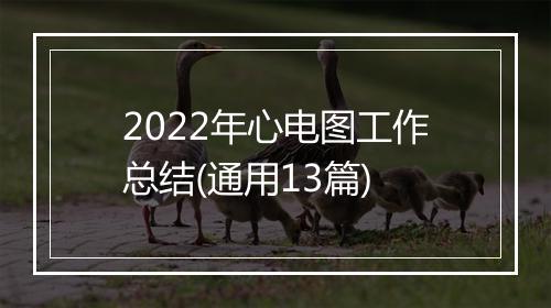 2022年心电图工作总结(通用13篇)