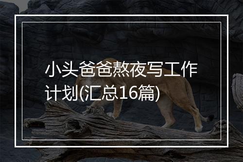 小头爸爸熬夜写工作计划(汇总16篇)