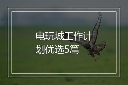 电玩城工作计划优选5篇