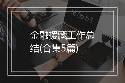 金融援藏工作总结(合集5篇)