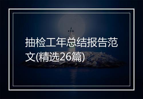 抽检工年总结报告范文(精选26篇)