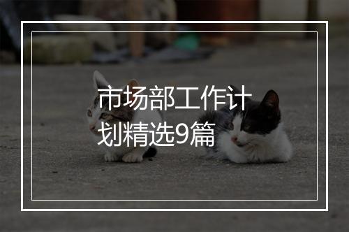 市场部工作计划精选9篇
