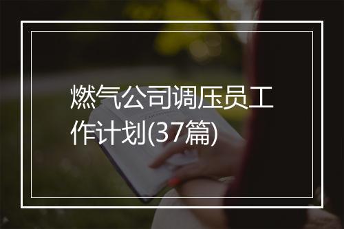 燃气公司调压员工作计划(37篇)