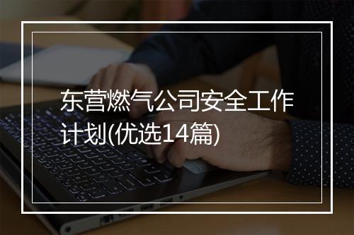东营燃气公司安全工作计划(优选14篇)
