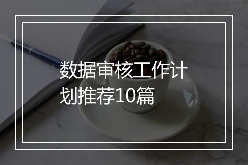 数据审核工作计划推荐10篇