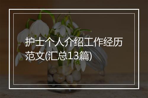 护士个人介绍工作经历范文(汇总13篇)