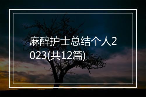 麻醉护士总结个人2023(共12篇)