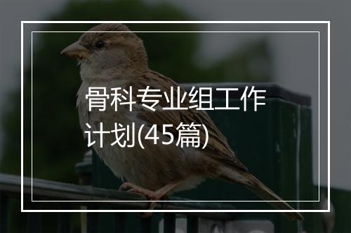 骨科专业组工作计划(45篇)