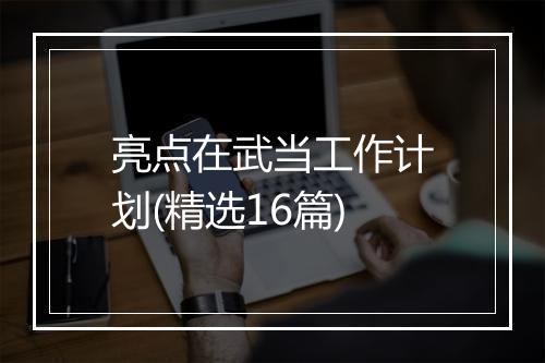 亮点在武当工作计划(精选16篇)