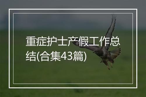 重症护士产假工作总结(合集43篇)