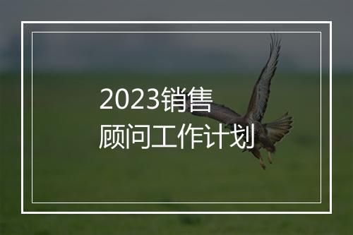 2023销售顾问工作计划