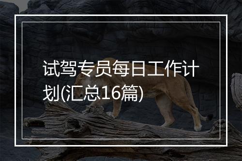 试驾专员每日工作计划(汇总16篇)